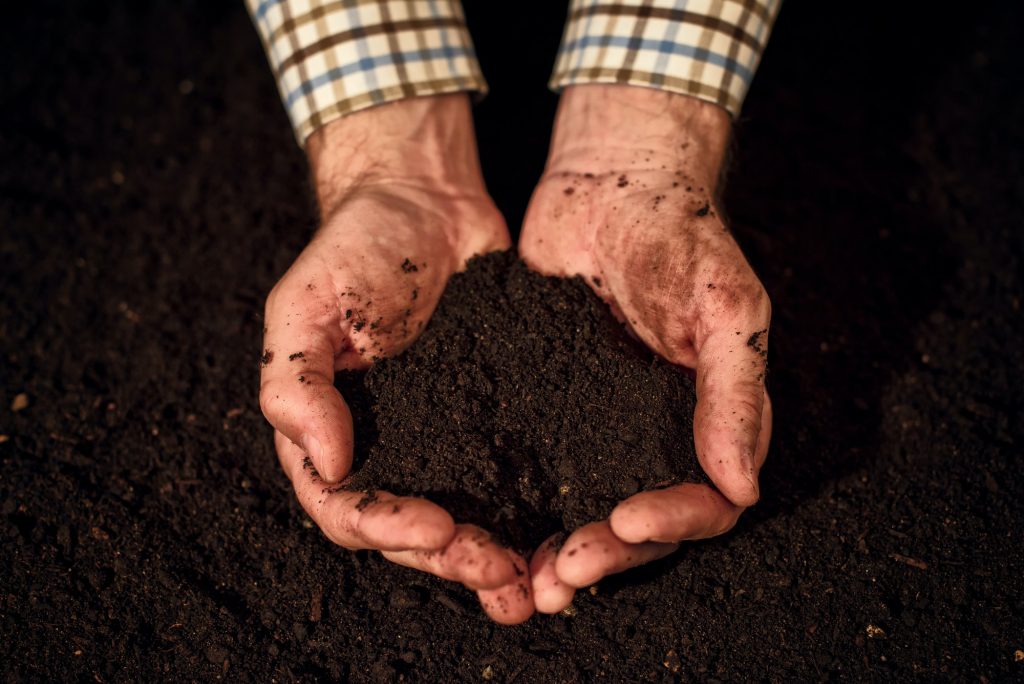 Quality soil in male gardener hands